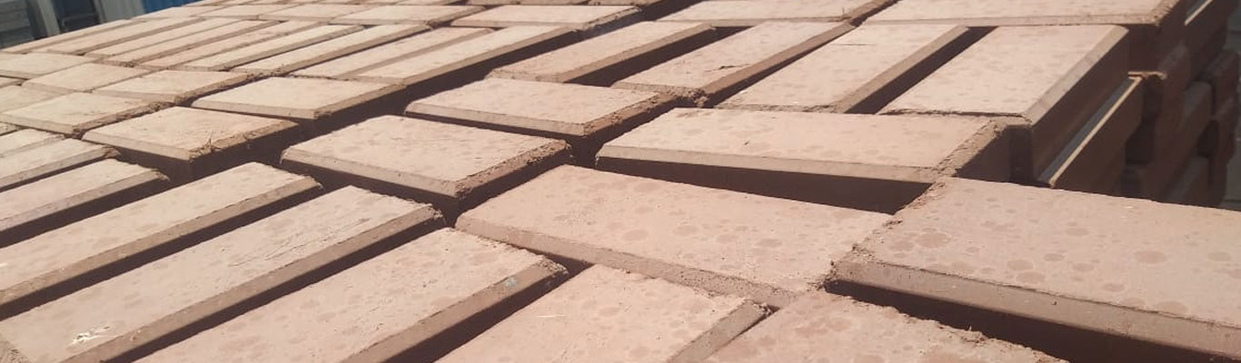 Interlock Bricks