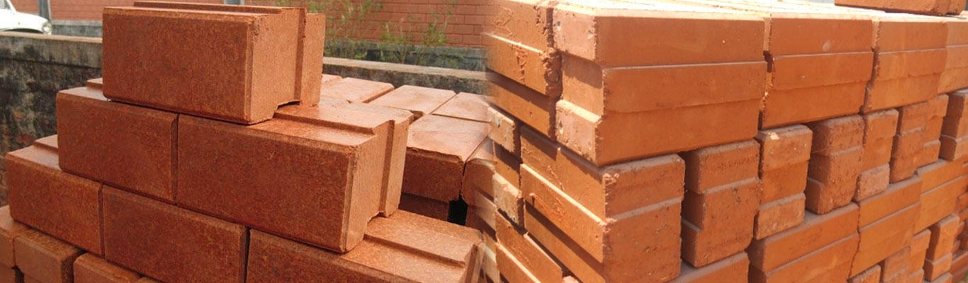 Interlock Bricks